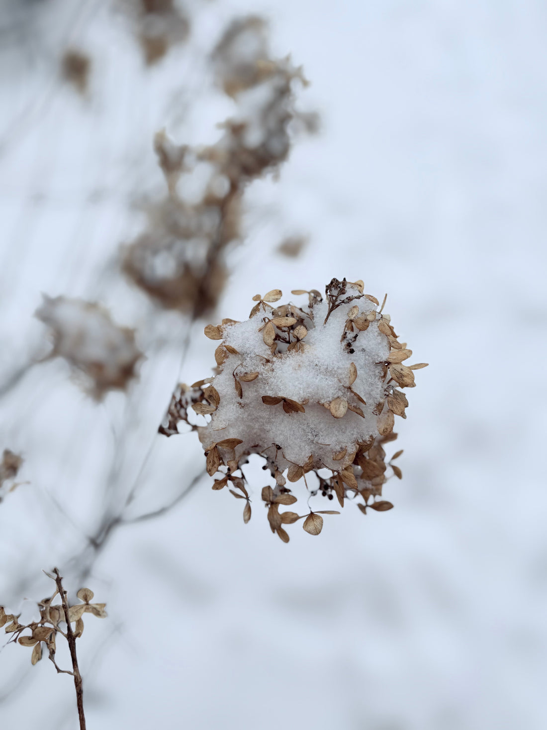 The Weight of the "In-Between"