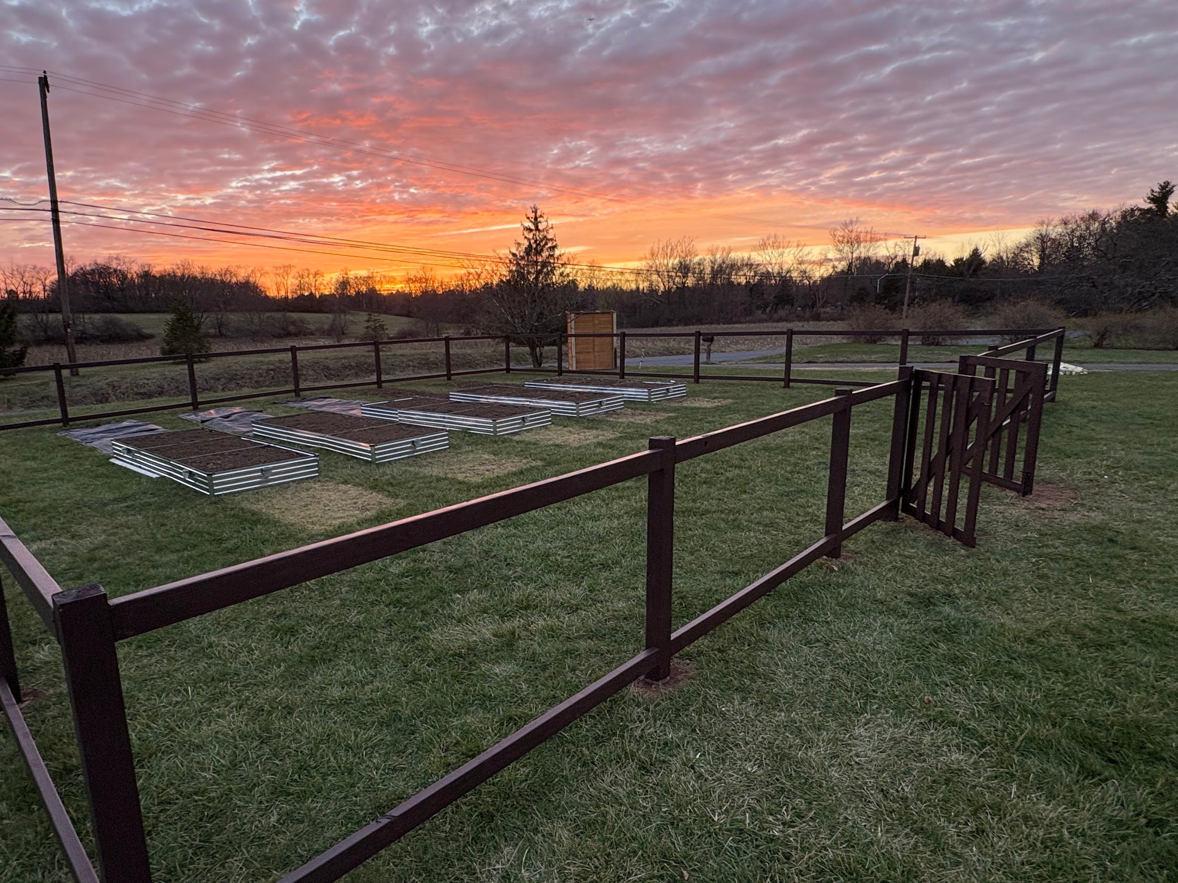 Community, Collaboration, and a Dream Taking Root