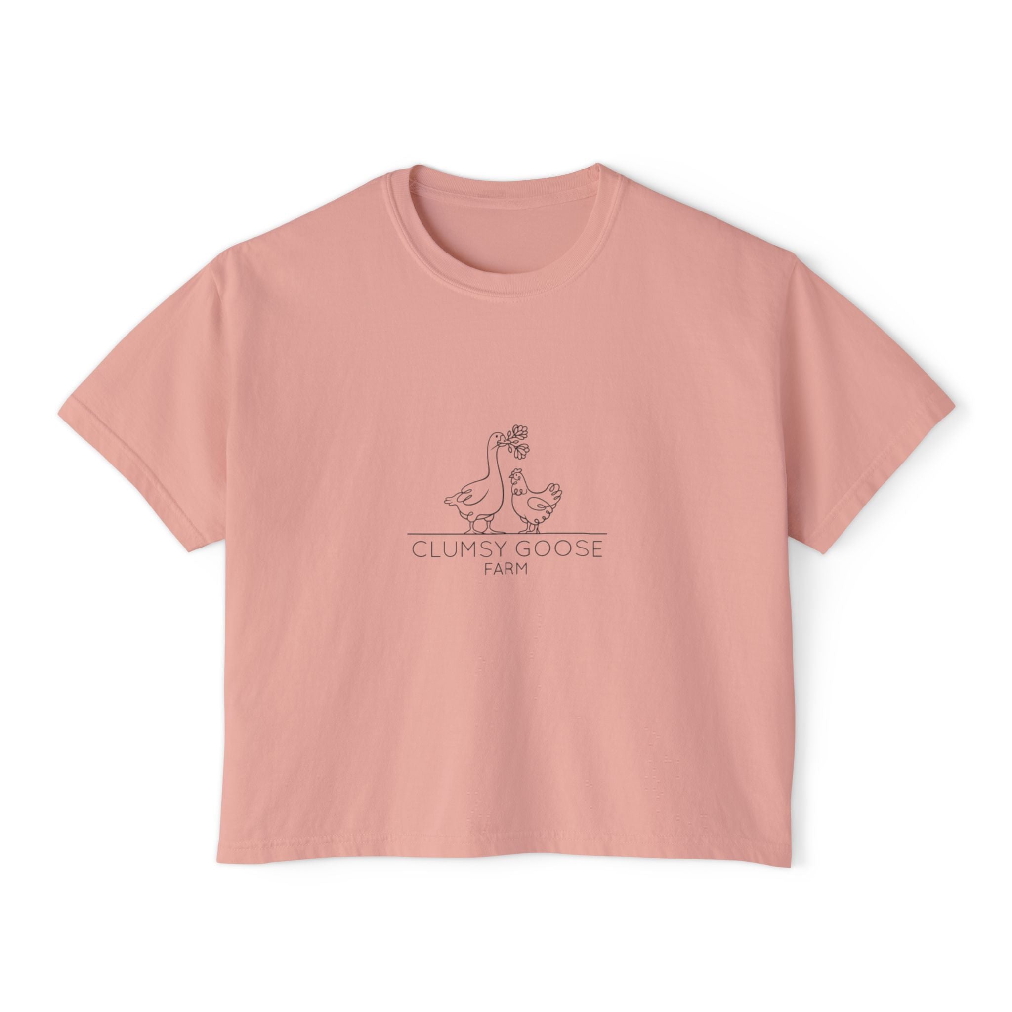 Clumsy Goose Farm Women's Boxy Tee