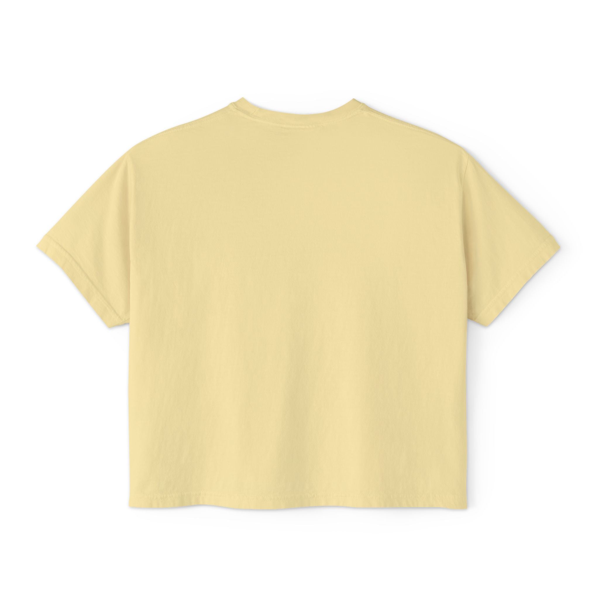 Clumsy Goose Farm Women's Boxy Tee — Cute Minimal Farm Animal Graphic Shirt