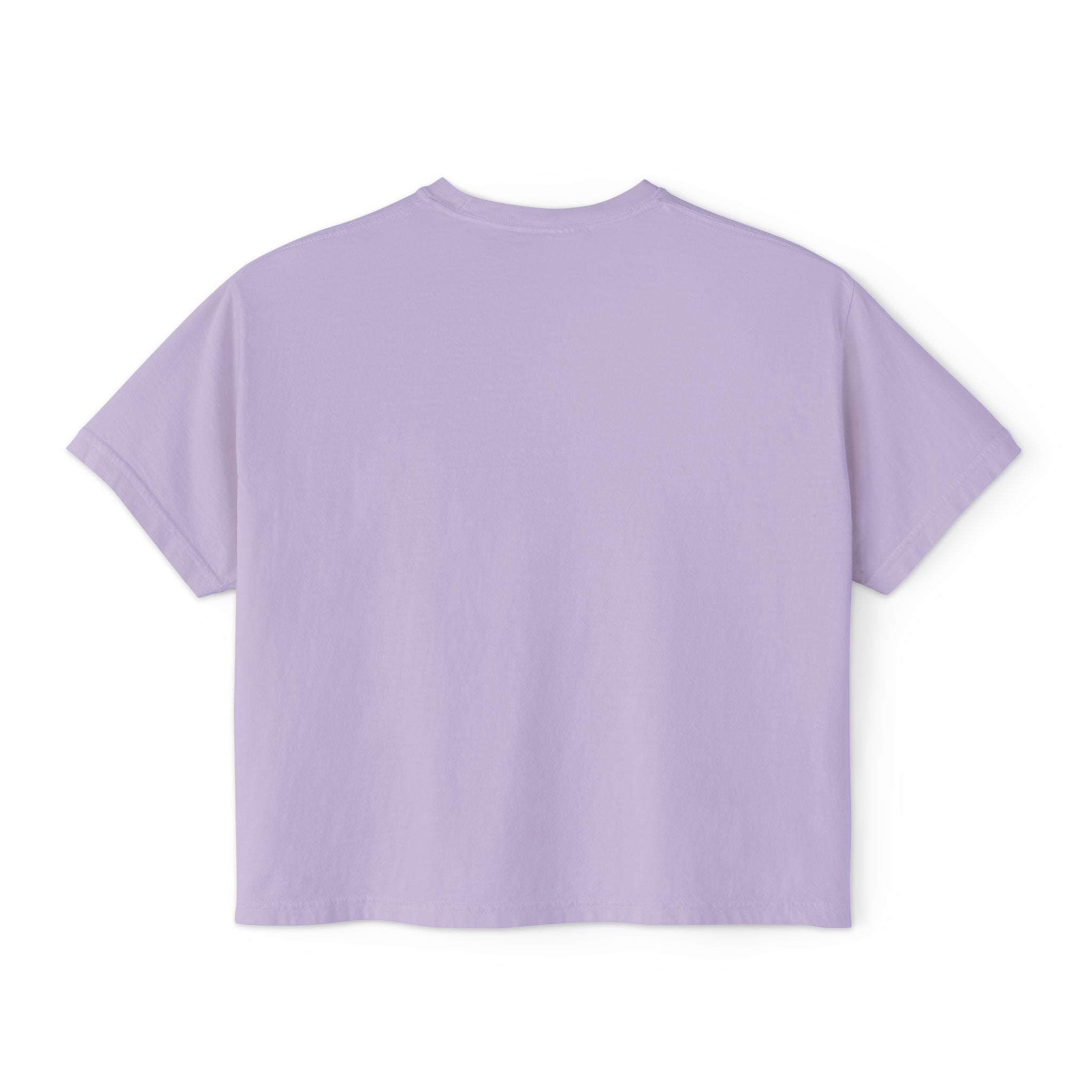 Clumsy Goose Farm Women's Boxy Tee — Cute Minimal Farm Animal Graphic Shirt