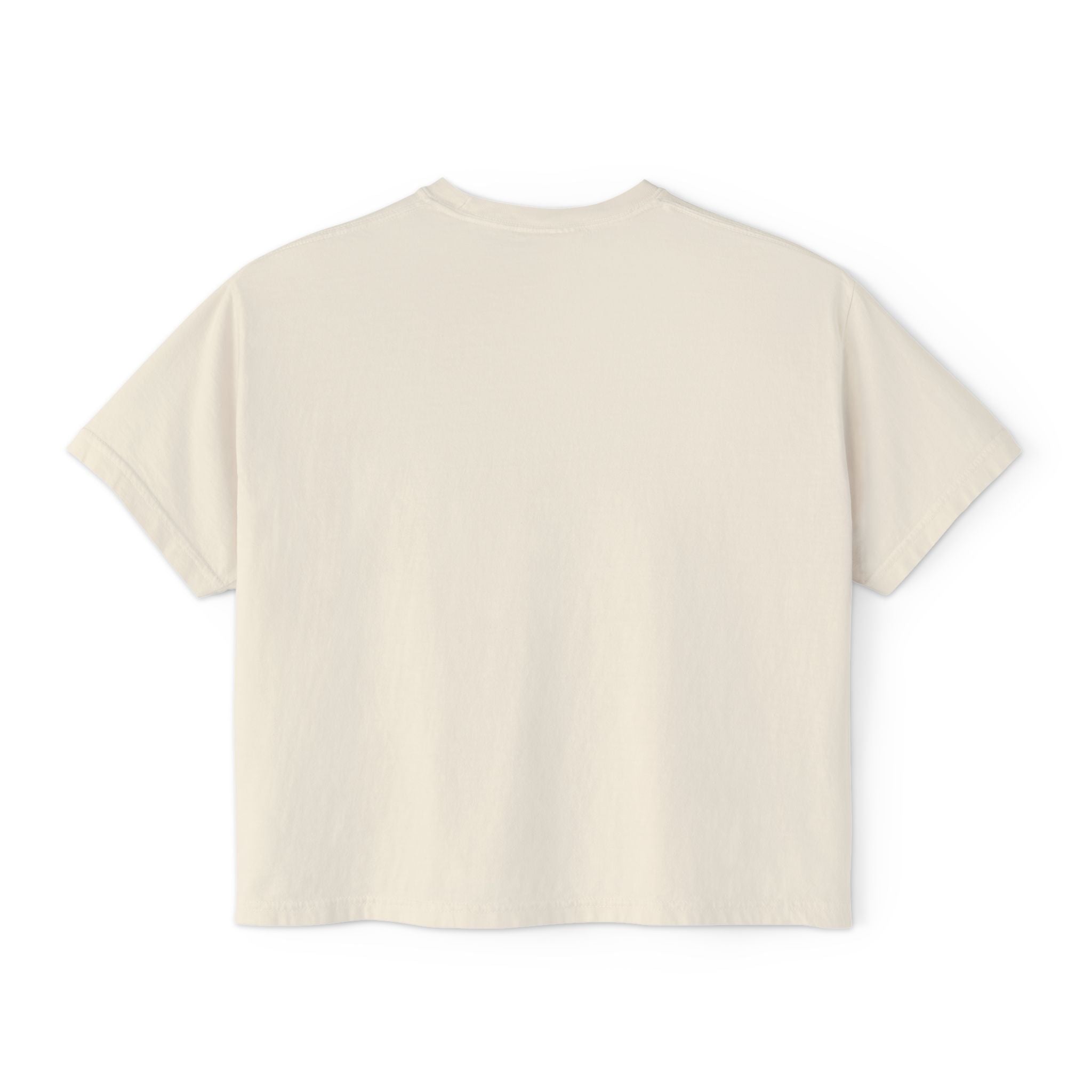 Clumsy Goose Farm Women's Boxy Tee — Cute Minimal Farm Animal Graphic Shirt