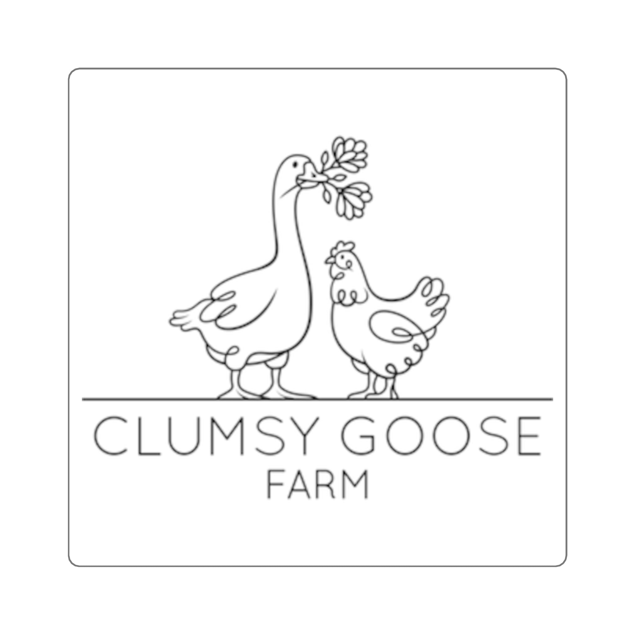 Clumsy Goose Farm Square Sticker — Minimal Farm Logo Decal