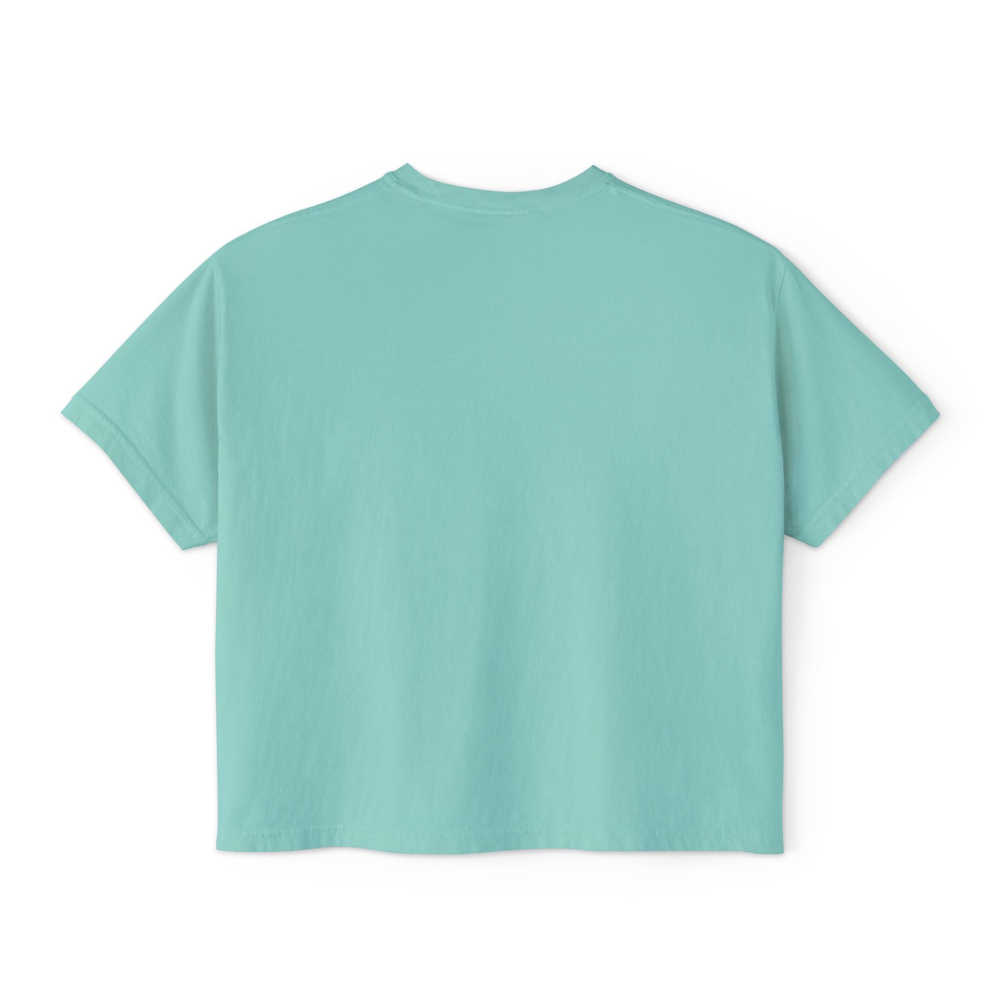 Clumsy Goose Farm Women's Boxy Tee — Cute Minimal Farm Animal Graphic Shirt