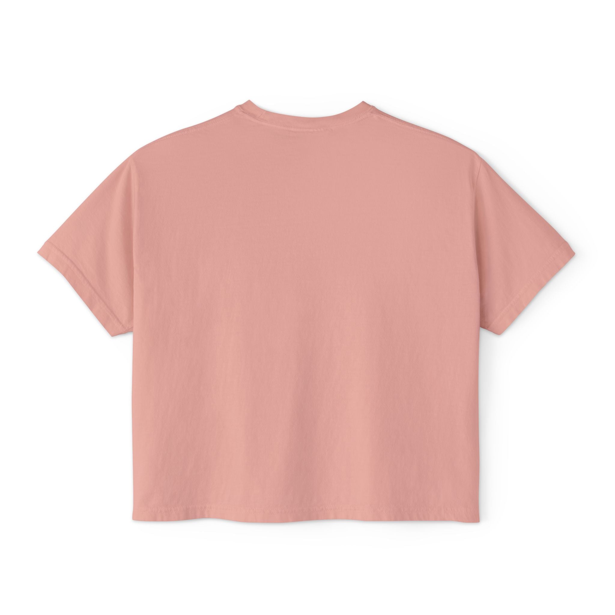 Clumsy Goose Farm Women's Boxy Tee — Cute Minimal Farm Animal Graphic Shirt